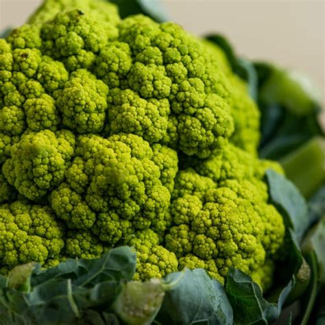 how-to-cook-broccoflower-the-mom-100 image