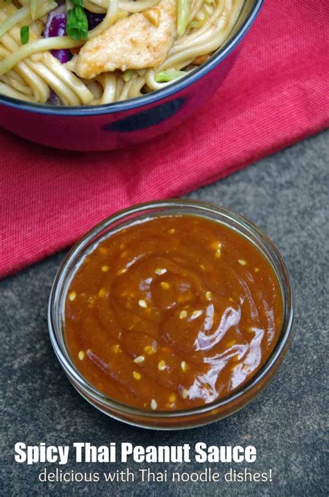 spicy-thai-peanut-sauce-recipe-turning-the-clock-back image