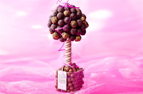 chocolate-truffle-tree-dessert-recipes-goodto image