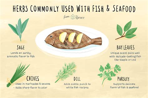 12-best-herbs-to-flavor-fish-and-seafood-the-spruce image
