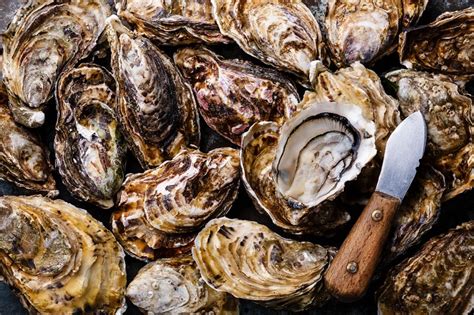 a-dozen-oysters-you-should-know-power-food-health image