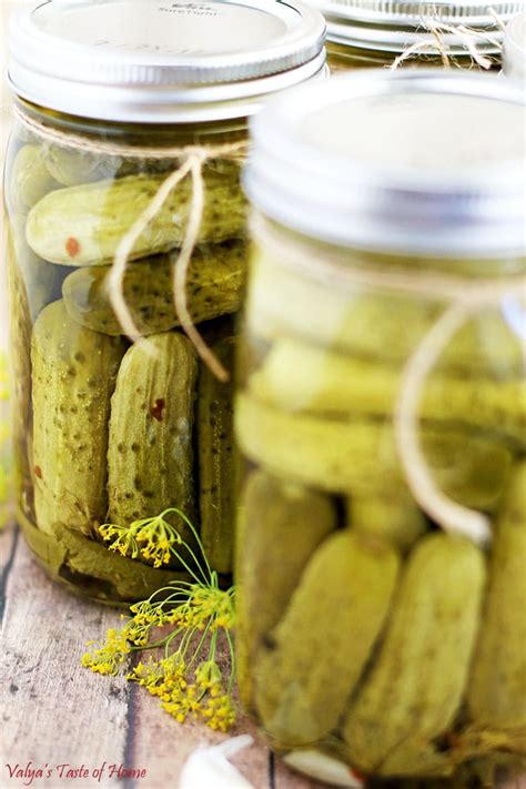 super-easy-dill-pickles-recipe-perfect-for-beginners image