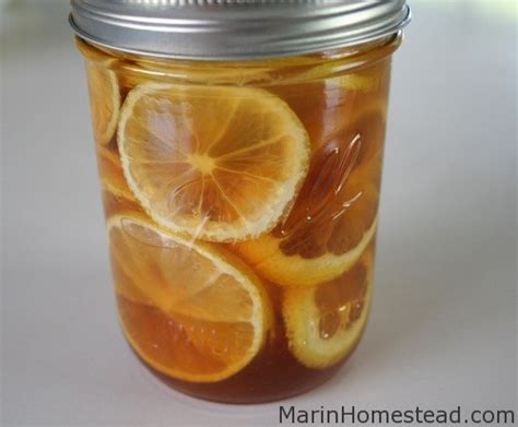 lemon-ginger-and-honey-in-a-jar-cold-buster-marin image