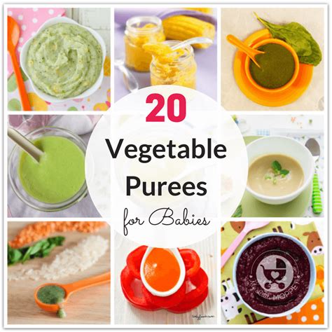 20-quick-and-easy-vegetable-purees-for-babies-my-little image