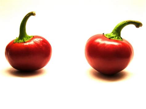 cherry-bomb-pepper-guide-heat-flavor-uses image