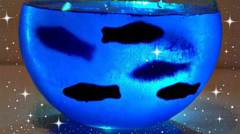 diy-fish-bowl-jello-how-to-make-edible-aquarium image
