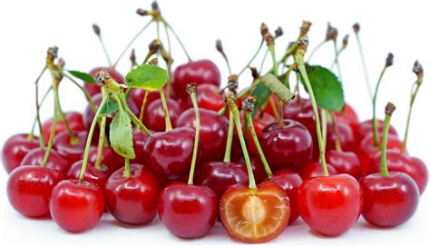 sour-cherries-information-recipes-and-facts-specialty image