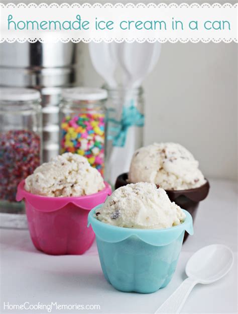 how-to-make-homemade-ice-cream-in-a-can-fun image
