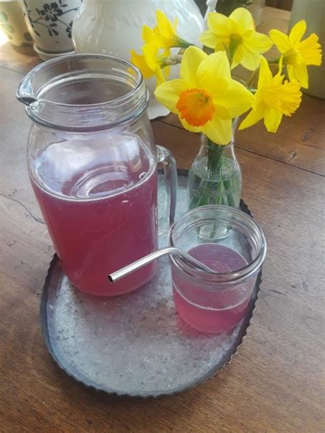 foraging-and-using-wild-violets-a-lemonade image
