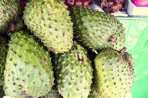 what-is-soursop-and-how-do-you-eat-it-allrecipes image