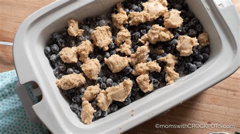 crockpot-blueberry-cobbler-recipe-moms-with image
