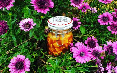 fermented-pineapple-kimchi-faith-canter-author image