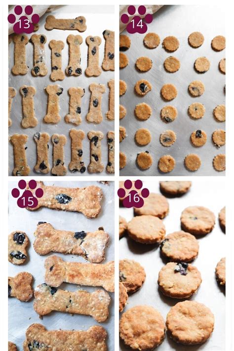 peanut-butter-blueberry-dog-treats image