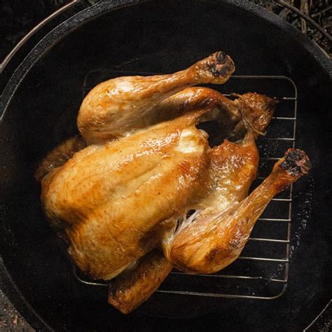 dutch-oven-roasted-chicken-campfire-style-the image