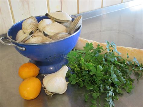 steamed-clams-with-garlic-chives-maine-food-on-maine-plates image