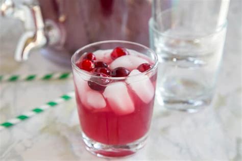 cranberry-punch-recipe-food-fanatic image