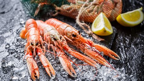 what-are-langoustines-and-what-do-they-taste-like image