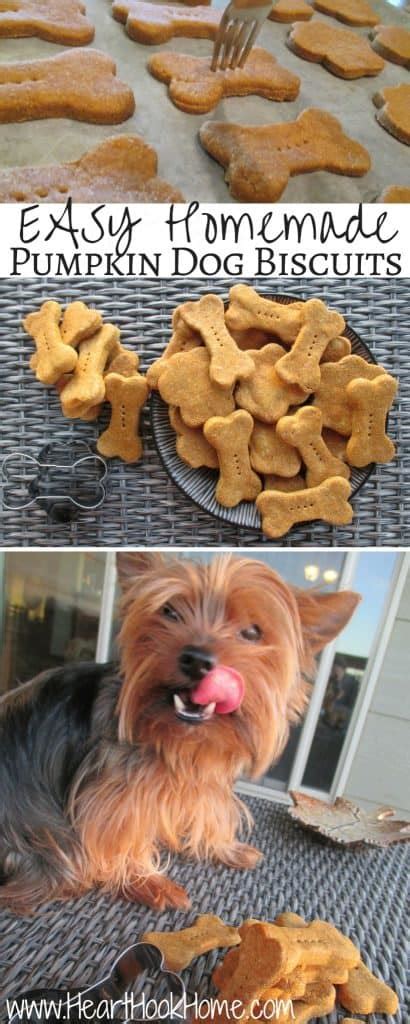 easy-homemade-pumpkin-dog-biscuits-recipe-heart image