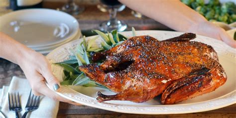 bohemian-roasted-duck-with-caraway-andrew-zimmern image