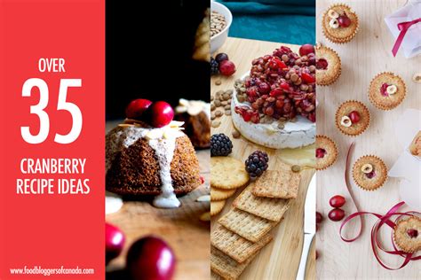 sweet-tart-over-35-cranberry-recipes-food-bloggers image