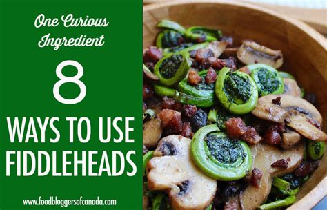 8-fiddlehead-recipes-for-spring-food-bloggers-of-canada image