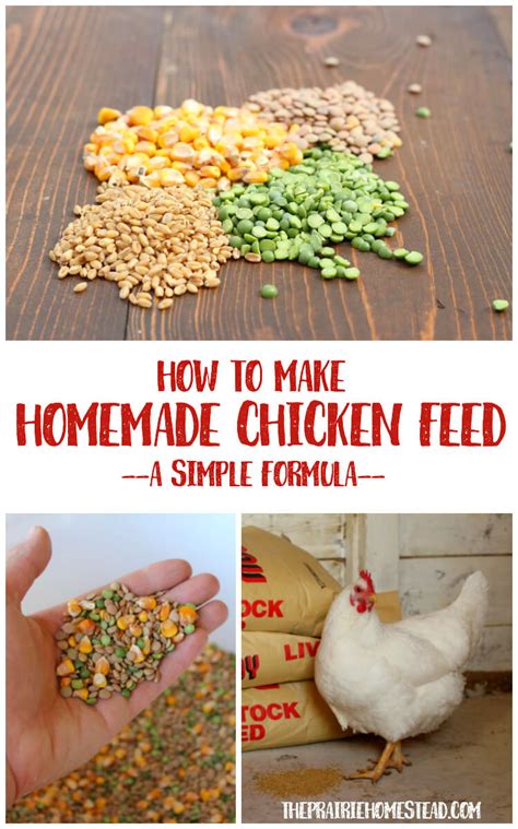homemade-chicken-feed-recipe-the-prairie image