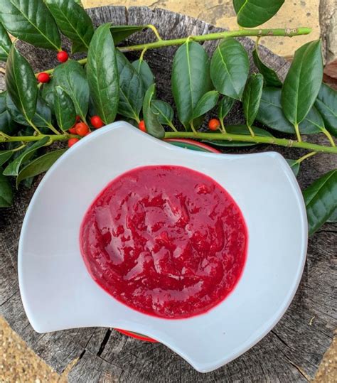 cranberry-chutney-with-a-south-indian-twist-healthy image