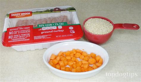 recipe-simple-quinoa-dog-food-top-dog-tips image