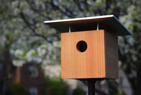 how-to-make-your-own-homemade-birdhouse-diy image