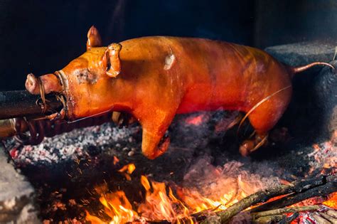 roast-suckling-pig-cochinillo-asado-recipe-the-spruce image