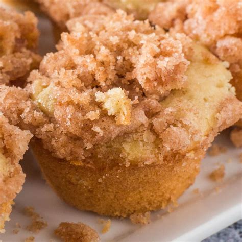 mini-coffee-cake-muffins-recipe-brooklyn-farm-girl image
