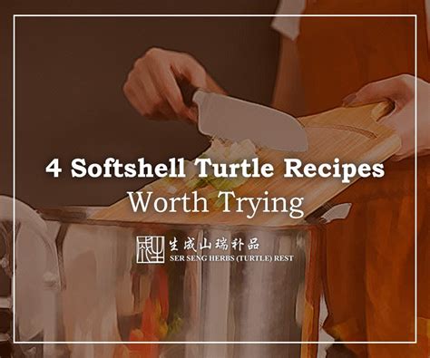 4-softshell-turtle-recipes-worth-trying-ser-seng image