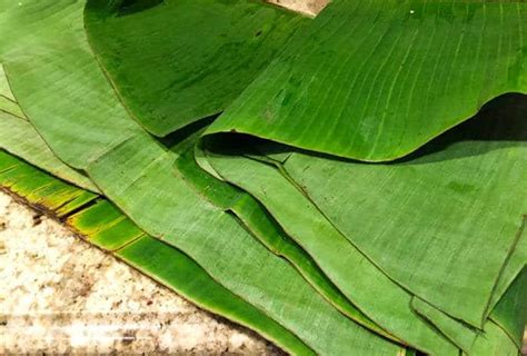 thai-fish-in-banana-leaves-beyond-mere-sustenance image