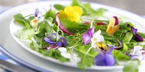 where-to-buy-edible-flowers-recipes-with-edible image