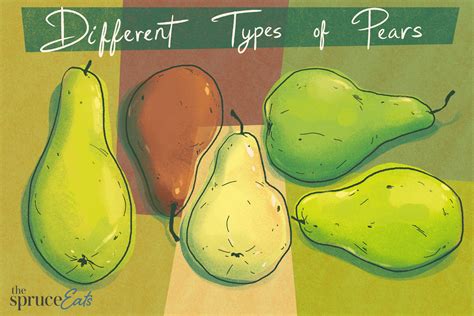 eating-and-baking-pears-when-to-use-which-pear-the image