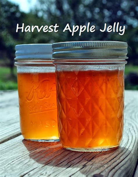 how-to-make-harvest-apple-jelly-with-no-added-pectin image
