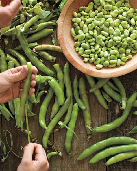 15-fava-bean-recipes-you-need-to-try-this image