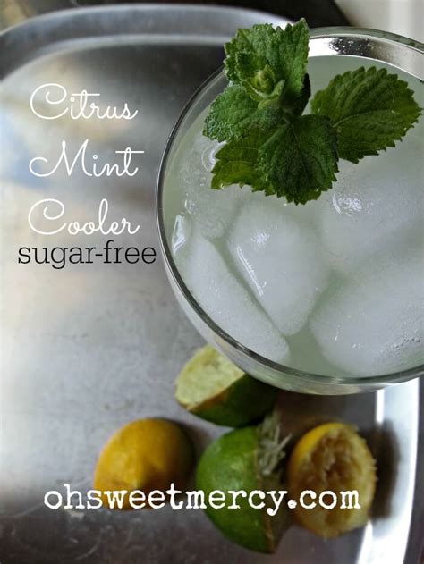 sugar-free-citrus-mint-cooler-oh-sweet-mercy image