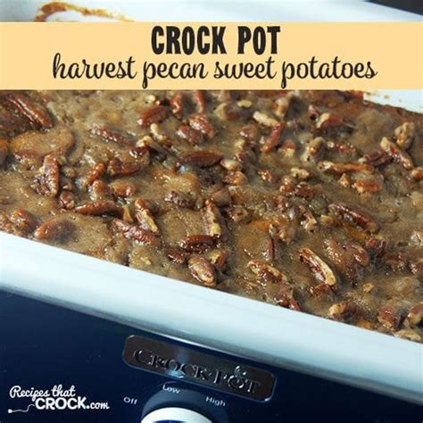 crock-pot-harvest-pecan-sweet-potatoes-recipes-that image