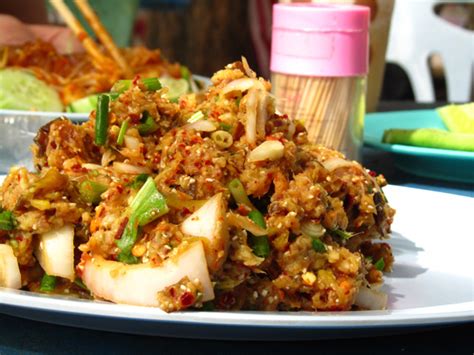 larb-pla-duk-thai-catfish-salad-ลาบปลา-eating-thai image