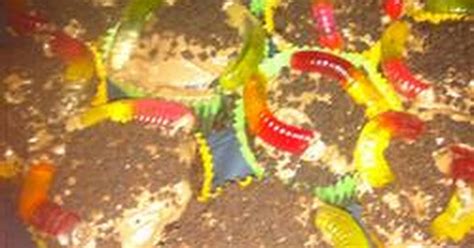 10-best-gummy-worm-cake-recipes-yummly image