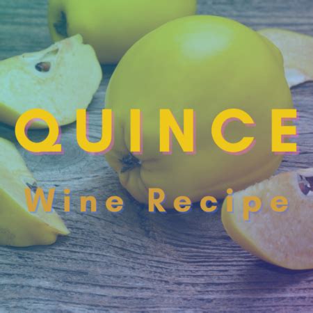 quince-wine-recipe-bright-refreshing-white-wine image