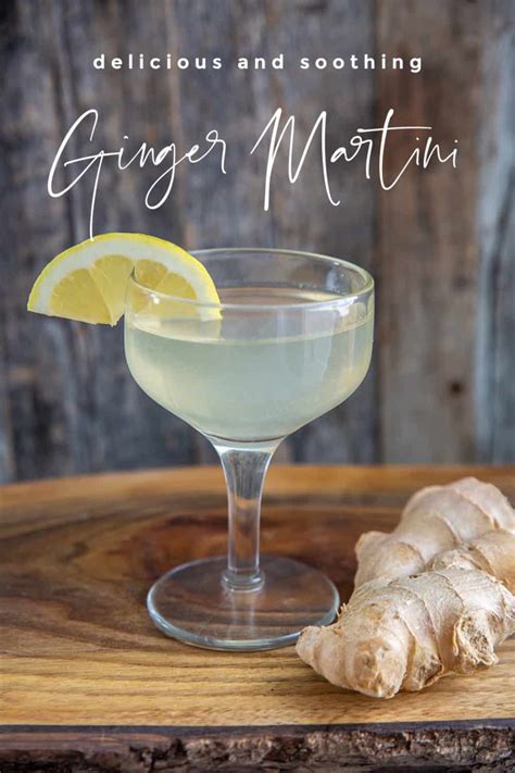 ginger-martini-the-kitchen-magpie image