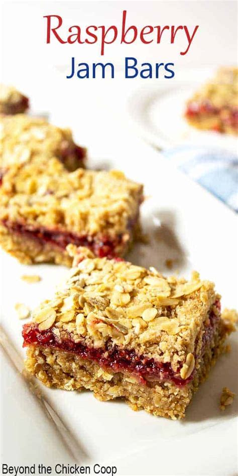 raspberry-oat-bars-beyond-the-chicken-coop image