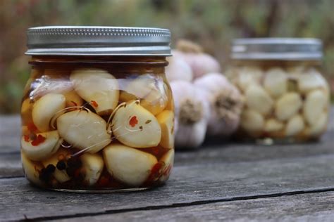 how-to-make-pickled-garlic-practical-self-reliance image