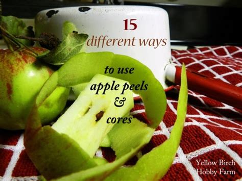 15-ways-to-use-apple-peels-cores-yellow-birch image