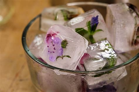 the-garden-gimlet-recipe-flower-cocktail-hour image