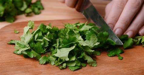 how-to-keep-cilantro-fresh-insanely-good image