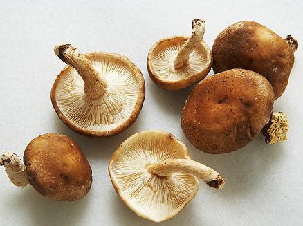 lamb-shanks-with-mushroom-bolognese-cookstrcom image