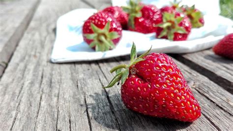 strawberry-newberg-on-bakespacecom image
